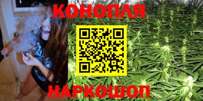 Альфа ПВП Владивосток