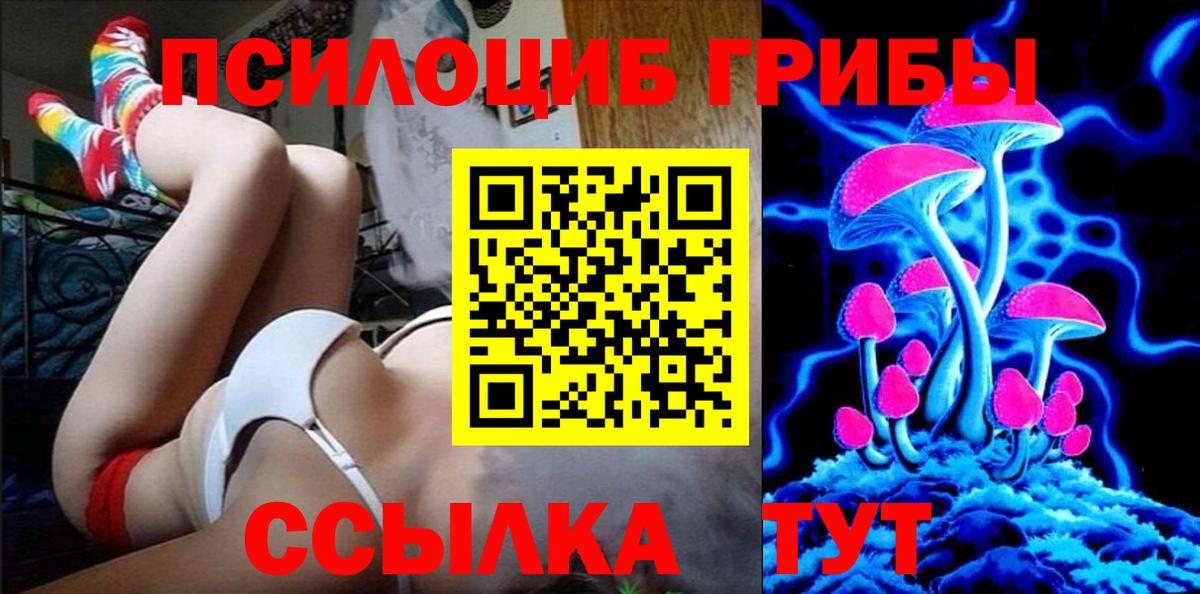 Галлюциногенные грибы Cubensis Ейск